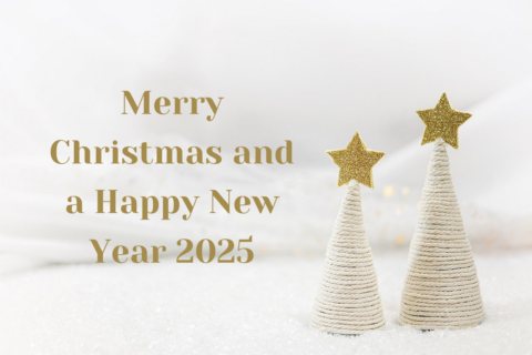 Zum Artikel "Merry Christmas and a Happy New Year 2025"